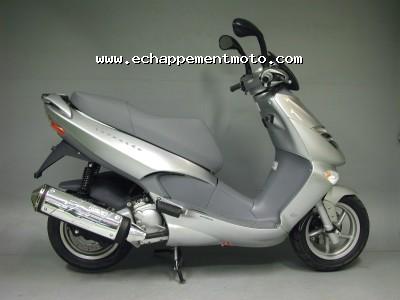 APRILIA LEONARDO 250 Arrow